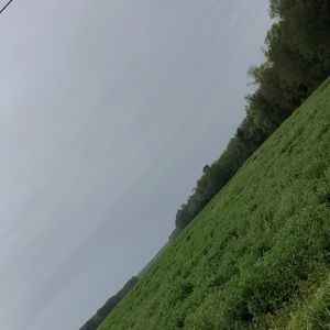 Meet your Posher, Seaborn